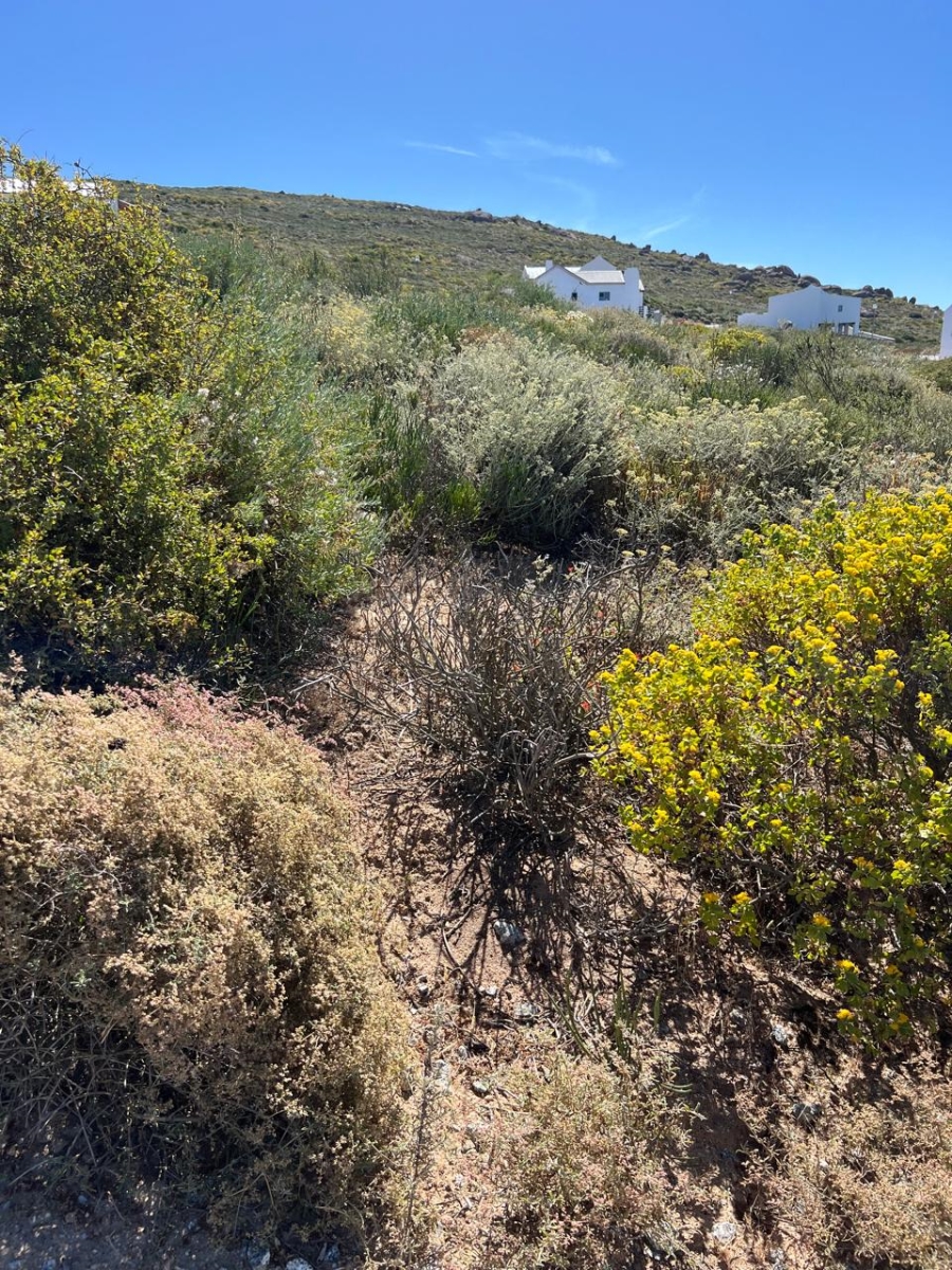 Commercial Property for Sale in St Helena Views Western Cape